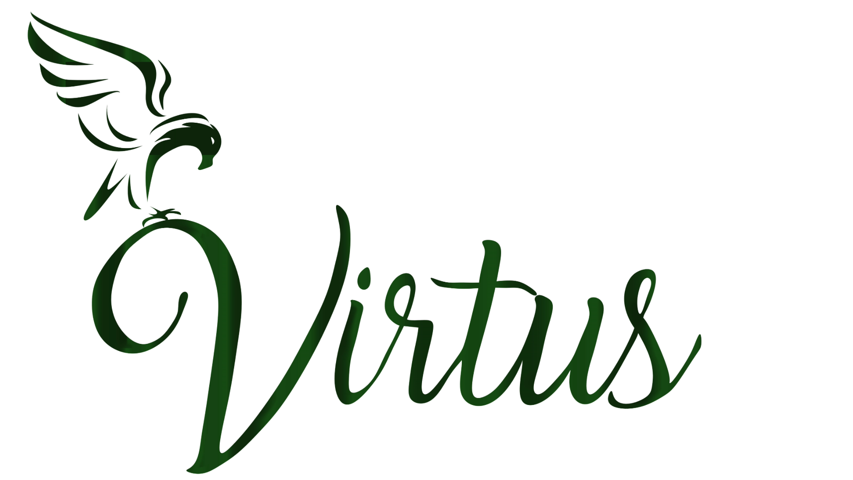 Virtus Home